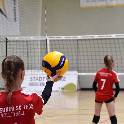 DSC Nachwuchs