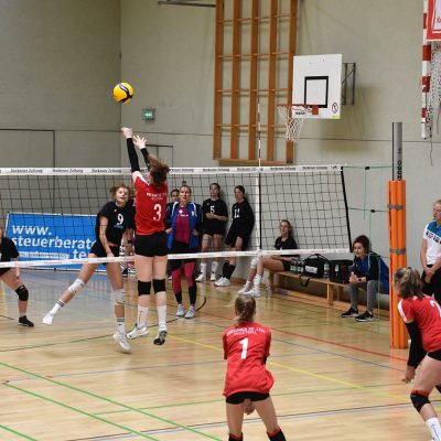 DSC Nachwuchs