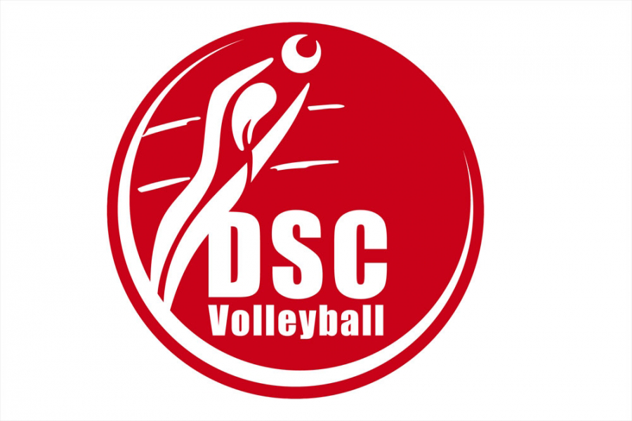 DSCVolleyball-Logo