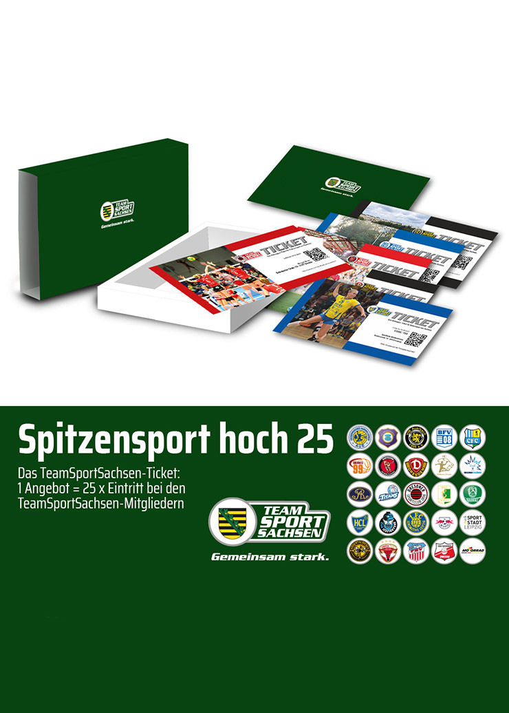 teamsport sachsen banner