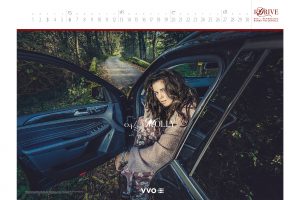 DSC Kalender 2017_Finale Ansicht_Seite_05