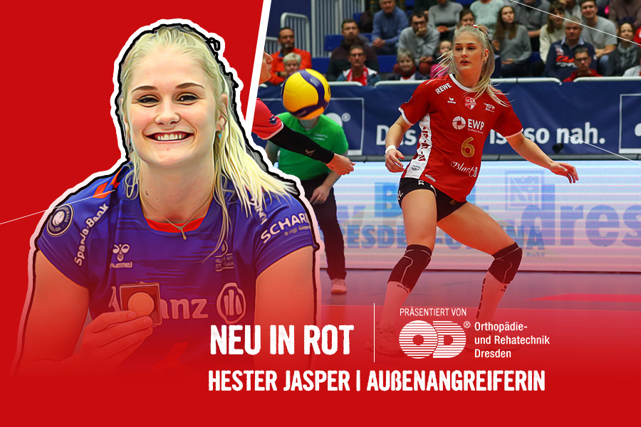 website neu in rot-Hester