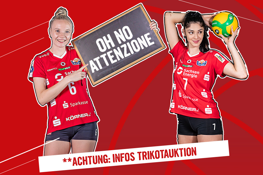 website-newsbild-auktion2