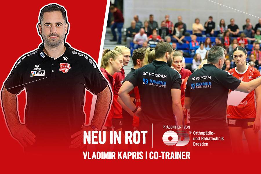 web-neu in rot-vladi