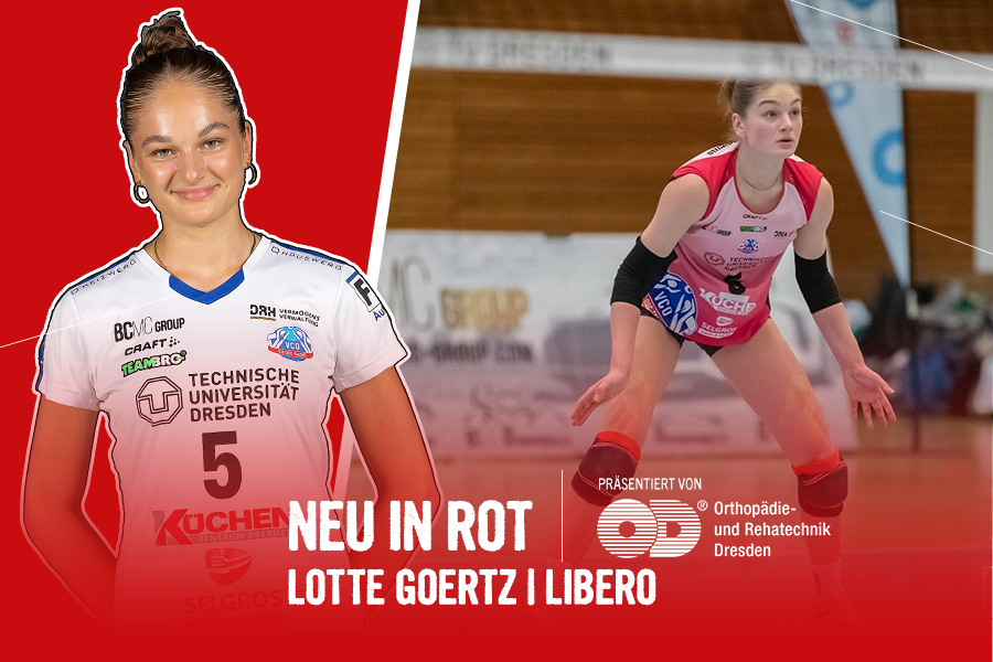 neu in rot-web-Lotte