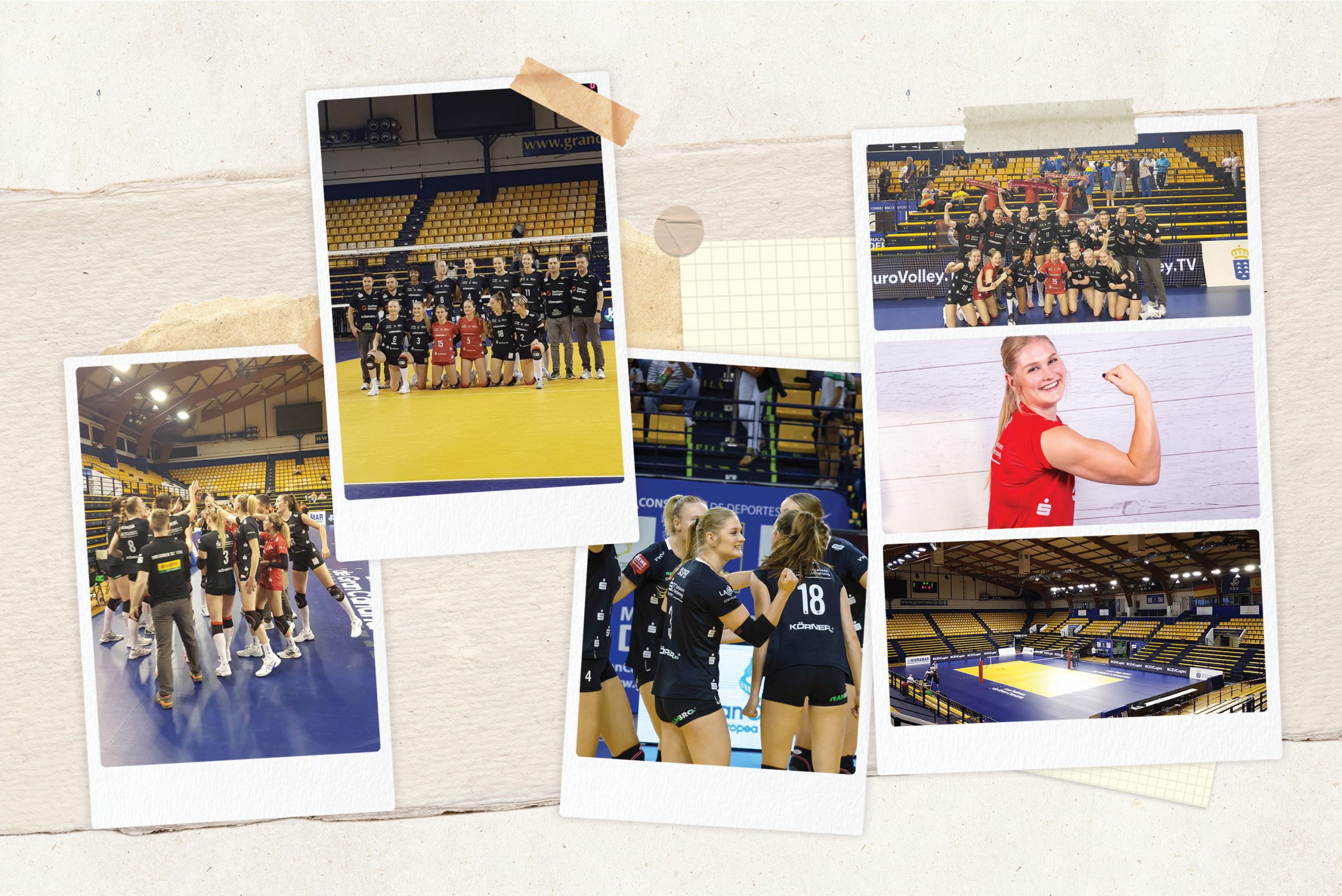 collage CEV Hester