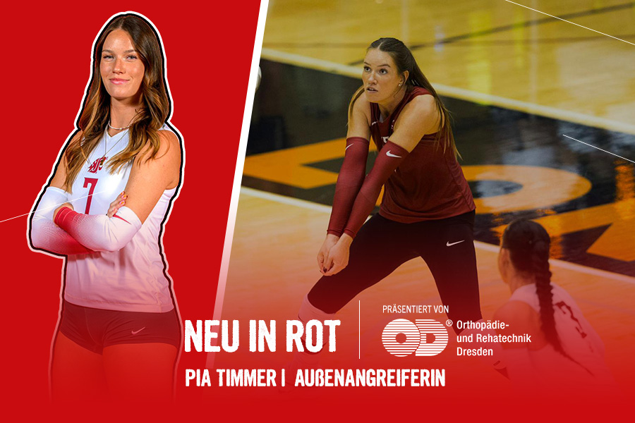 neu in rot- web-pia-timmer