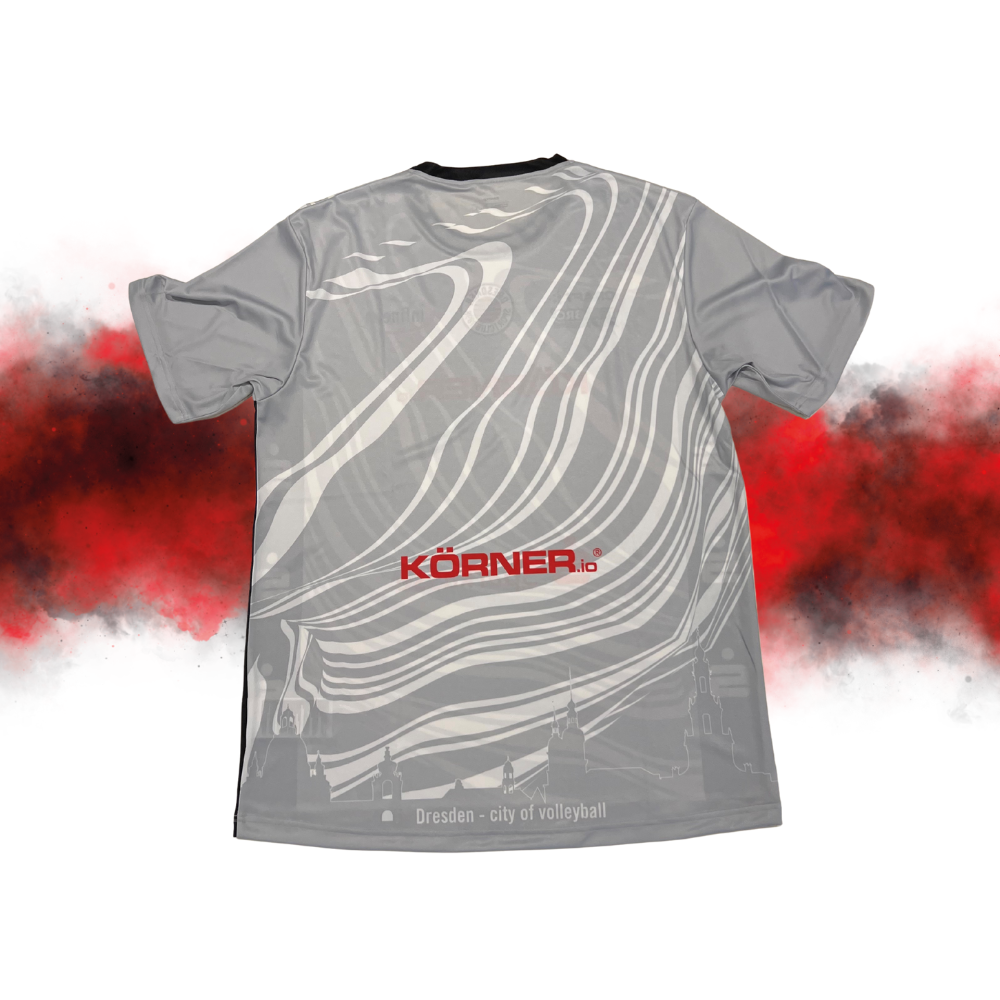 Fanshop Trikot Champions League grau Fanshop Trikot Champions League grau