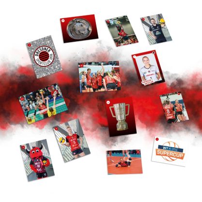DSCVOLLEY Fanshop Stickerpack