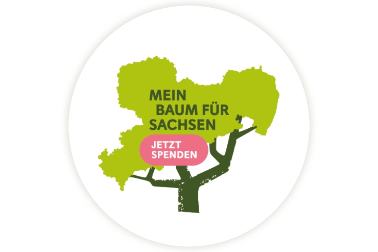 Stiftung Wald Kachel
