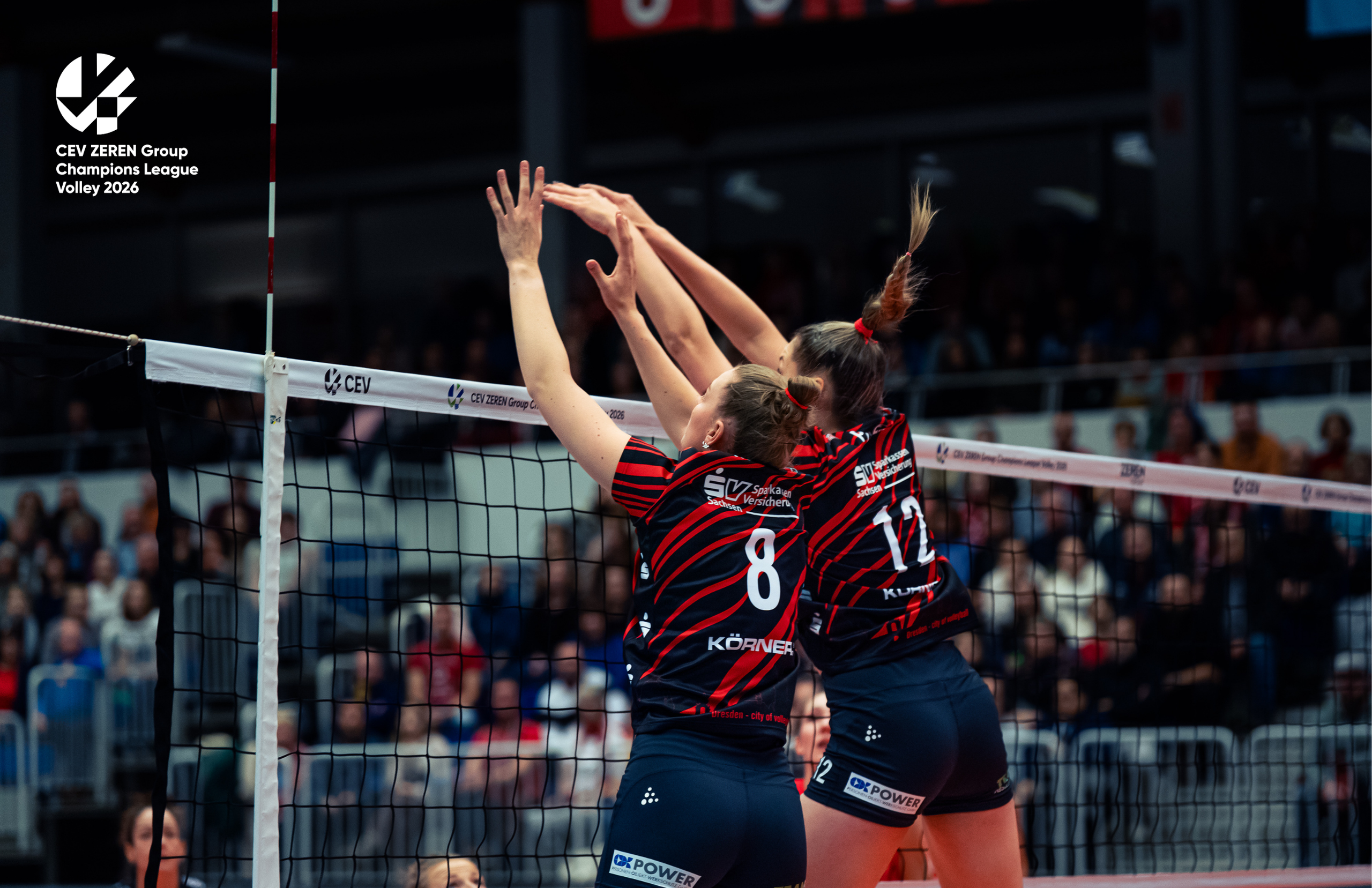 Gut gekämpft, aber gegen Conegliano nichts zu holen