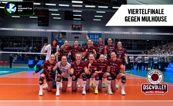 DSCVOLLEYs spielen im CEV-Cup Viertelfinale gegen Mulhouse
