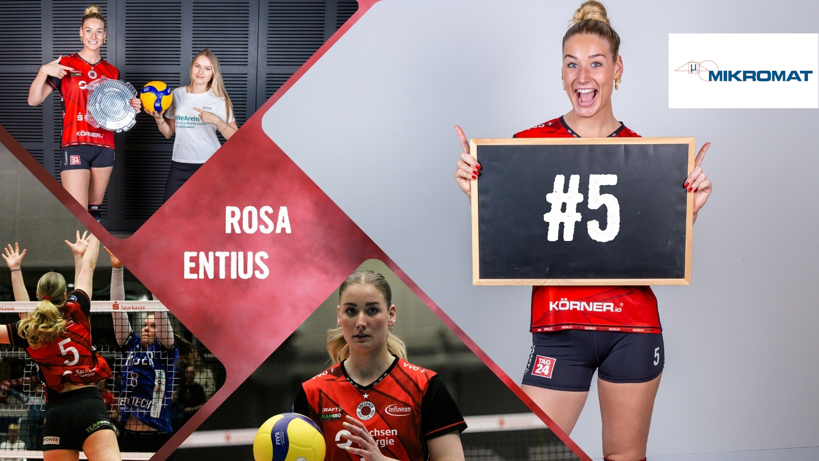 Rosa Entius Anzeige Mikromat