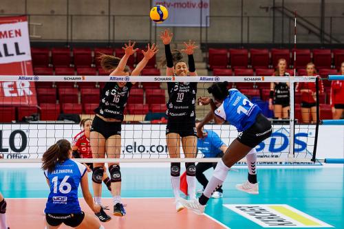 Allianz MTV Stuttgart vs DSC Play-off Finale 2