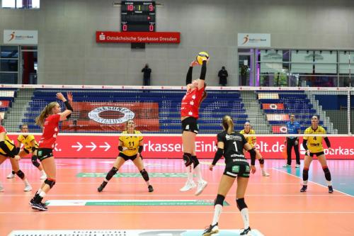 DSC vs. USC Münster