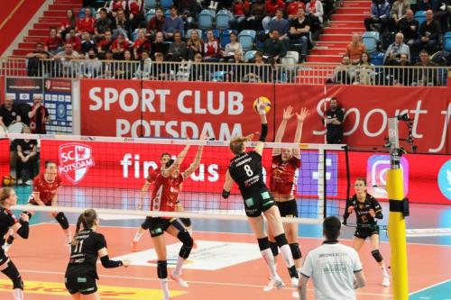 Play-off 2022 HF SCP vs. DSC