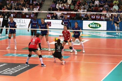 25 22042023 MTV-DSC 33 bearb