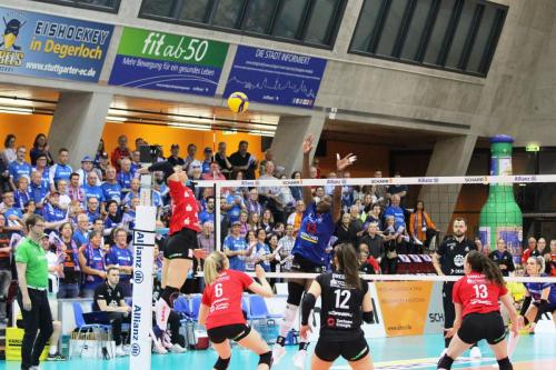 25 22042023 MTV-DSC Spieltagsgrafik 01 bearb