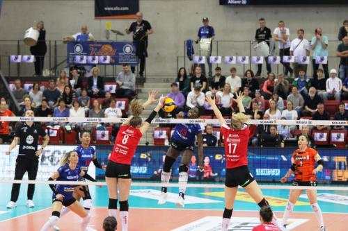 25 22042023 MTV-DSC Spieltagsgrafik 07 bearb komp