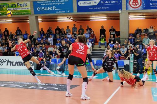 DSC vs MTV Stuttgart