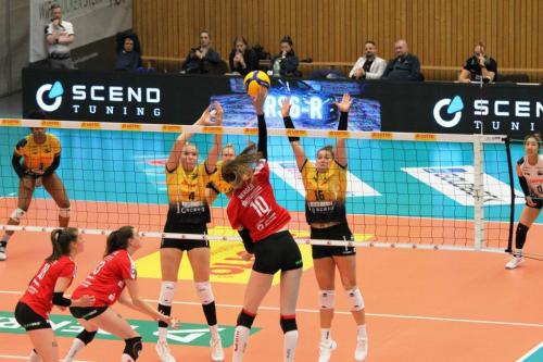 02 05112022 VfB-DSC 16 bearb komp