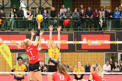 02 05112022 VfB-DSC 30 bearb komp