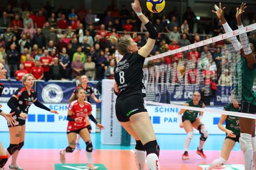 Testspiel DSC - #VolleyWroclaw