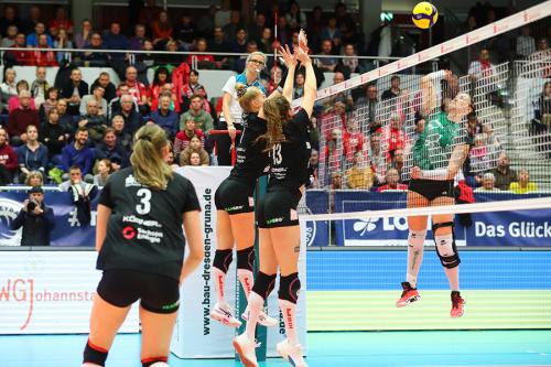 Testspiel DSC - #VolleyWroclaw