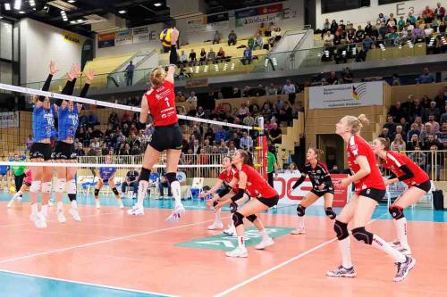 Volleyball-Bundesliga, Saison 2022-2023, VC Wiesbaden-DSC am 19.11.2022