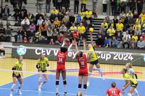 CEV 05122023 SSC-DSC 05 bearb komp