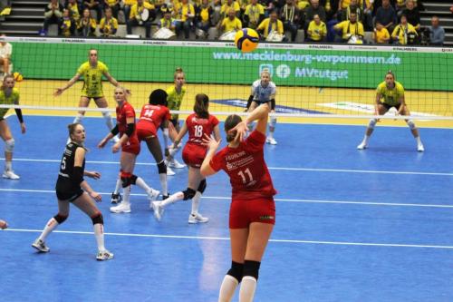 CEV 05122023 SSC-DSC 07 bearb komp