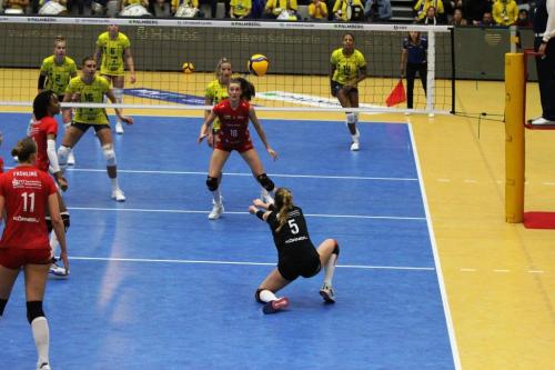 CEV 05122023 SSC-DSC 10 bearb komp