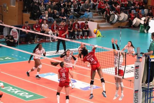 10 16122023 SCP-DSC 52 bearb komp