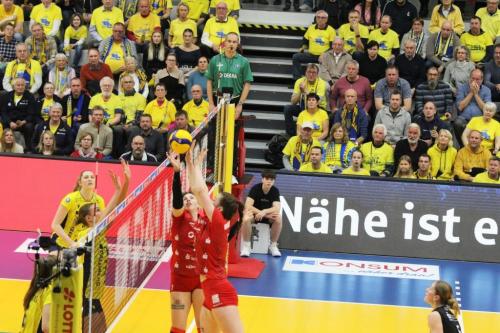 09 09122023 SSC-DSC 41 bearb komp