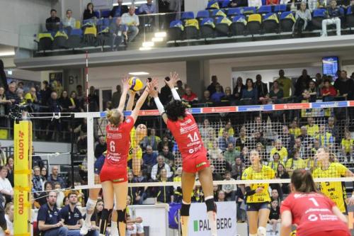 19 10022024 SSC-DSC 41 bearb komp