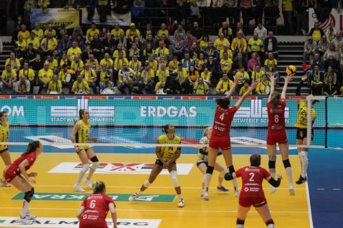 19 10022024 SSC-DSC 43 bearb komp