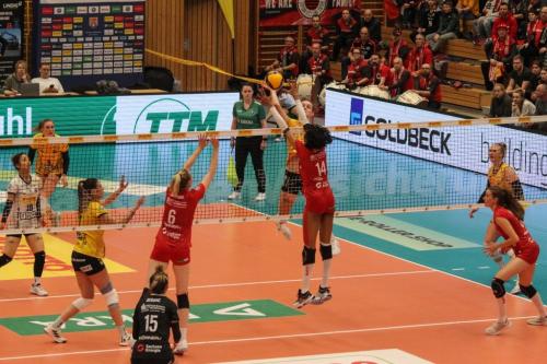 14 13012024 VfB-DSC 16 bearb komp