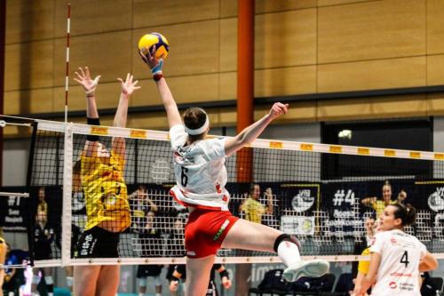 14 04012025 VfB-DSC 032 bearb Effekt komp