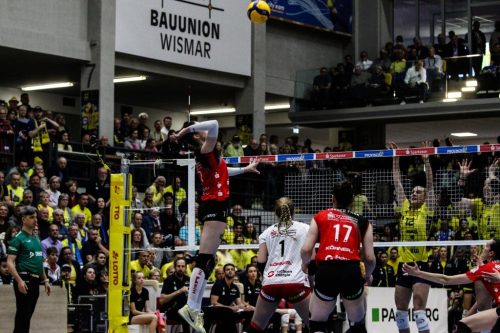 30 19042025 SSC-DSC 14 bearb Effekt komp