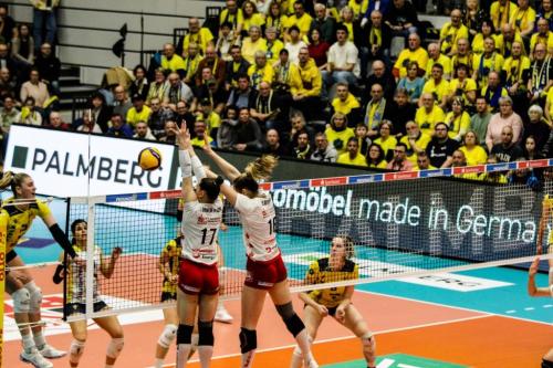 22 22022025 SSC-DSC 30 bearb Effekt komp