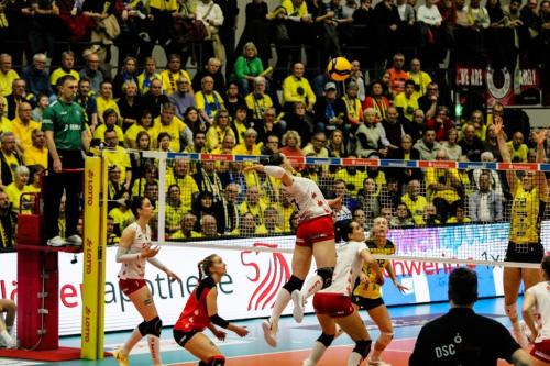 22 22022025 SSC-DSC 77 bearb Effekt komp