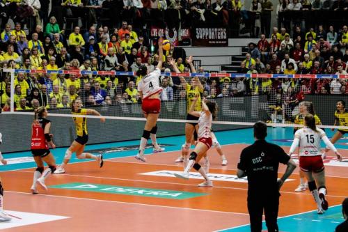 22 22022025 SSC-DSC 78 bearb Effekt komp